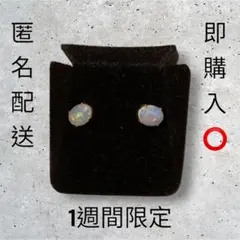 Item thumbnail for item 409dcdc8-2098-471d-81b3-f89d7f64b542