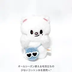 straykids skzoo10cmジニレット用 サングラスポシェット（水色）