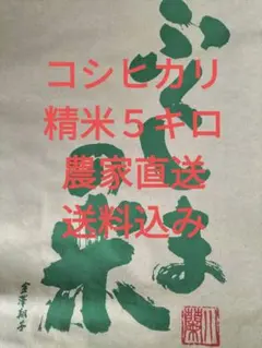 米　令和７年福島県産コシヒカリ精米５キロ 農家直送　送料込み　即日発送可のサムネイル