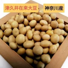 農家直送・新豆】茨城県産 大豆 里のほほえみ 5kg 大粒 - メルカリ