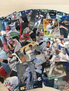 サイン入りプロ野球カードセット　58枚