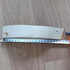 Item thumbnail for item 28266b55-55e1-4048-9bc7-0b38c17e2bc4