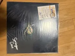 Yogee new waves lp レコード Yogee New Waves『PARAISO』[12inch Vinyl/Reissue]