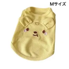 Item thumbnail for item c4498ee6-a02a-48ec-942b-d68289797bca