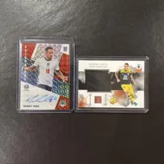 Panini ダニー・イングス 2枚セット サイン/レリック