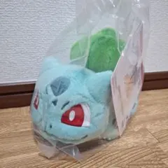 一番くじ Pokémon 30th フシギダネ ぬいぐるみ - メルカリ