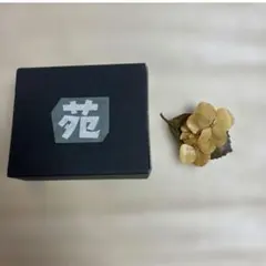 Item thumbnail for item f8505781-d30d-4397-ac17-6172e399e817