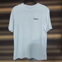 Patagonia Tシャツ Sサイズ