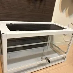 Item thumbnail for item 7cdd437c-dbef-418b-afd8-0e904ea138b3