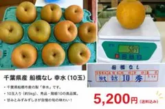 千葉県産 船橋なし 幸水 10玉 約5kg 秀品 千葉県産 船橋なし 幸水 10玉 約5kg 秀品 - メルカリ