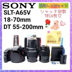 ❤即購入1000円OFF❤ ソニー SONY α65 息づく緑、光と影の深奥へ。