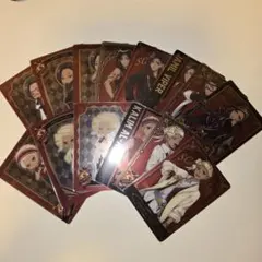 ツイステッドワンダーランド　メタルカード　スカラビア