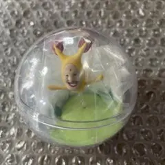 こびとづかん　カプリウムコレクション　ホトケアカバネ
