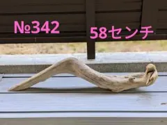 №342 アク抜き済流木　爬虫類登り木のサムネイル