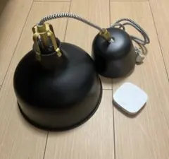 IKEA 照明 ペンダントランプ ラーナプル 調光電球付きのサムネイル