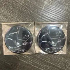 鬼滅の刃 無限城編 缶バッジ 栗花落カナヲ