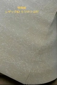 Item thumbnail for item 8d27bf22-4704-44f8-b355-2e04813dd6b0