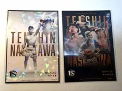 Item thumbnail for item d6a83953-1a1f-4d50-a585-e7018f278923