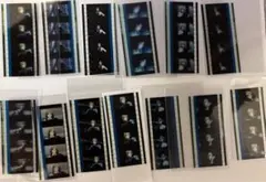 八朔こおりみかん様　専用