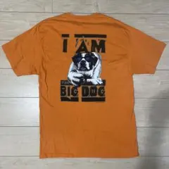 Item thumbnail for item dd4b5c5c-c867-4b41-ae0f-72d871215c53