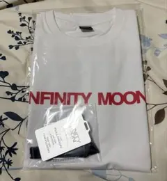 ØMI INFINITY MOON 3Days passグッズ　登坂広臣