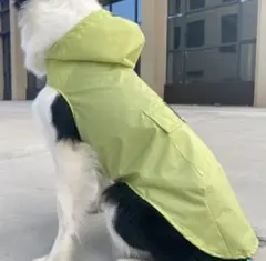 Item thumbnail for item c2569467-2b61-46b0-bb47-c649b135a1bc