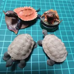 カメのフィギュア3体カエルボトルキャップセット