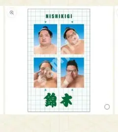 【開封済】大相撲　NEW！証明写真風ステッカーvol.1　錦木