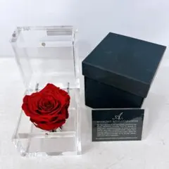 新品未使用】AMOROSA MODERNO デスティニーローズ オレンジ 袋付