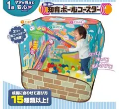 People 頭と体の知育ボールコースターのサムネイル
