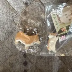 コーギー　ガチャ フィギュア 2匹セット