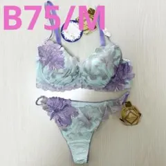 2026年最新】ワコールサルートb75の人気アイテム - メルカリ
