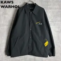 美品　ユニクロ　KAWS Andy Warhol コラボ　コーチジャケット
