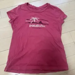 patagonia Pataloha Tシャツ ピンク　S パタロハ