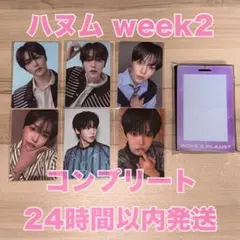 こりん様 リクエスト 2点 まとめ商品