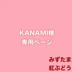KANAMI様 リクエスト 2点 まとめ商品