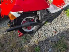 2025年最新】ペリカンジョグ マフラーの人気アイテム - メルカリ