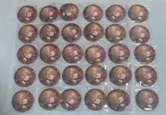 プロセカ 小豆沢こはね グリッター缶バッジ 40B 30点