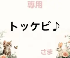 専用