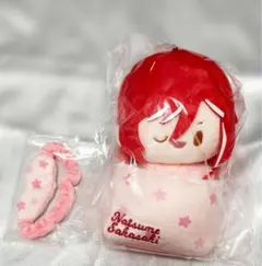新品未開封】生見愛瑠 めるる とぅしまる ぬいぐるみ ふぁんさ 限定