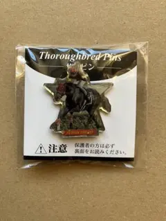 エイシンヒカリ　ピンズ　サラブレッド　サラピン　まねき馬倶楽部　競馬