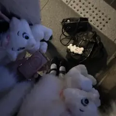 Item thumbnail for item a88f3c78-f347-47ab-8ab7-8b980c3b1856