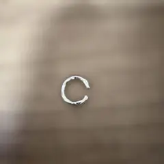 シルバーカラー イヤーカフ