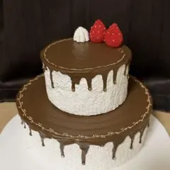 超巨大 手作りスクイーズ ケーキスクイーズ 贅沢二段ケーキ