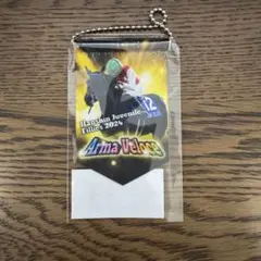 2024JRA賞 ノーザンホースパーク モバガチャ アルマヴェローチェ ミニタペ