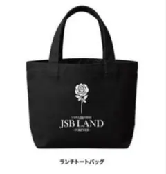 三代目 JSB アプグレグッズ ランチトートバッグ 未開封のサムネイル