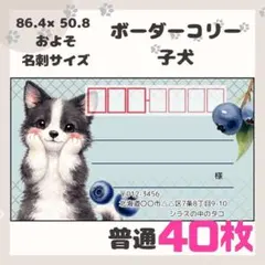 [보더콜리 퍼피] 메일링 스티커 라벨 40장 발신자 보통 사이즈