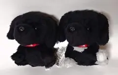 Item thumbnail for item 52d6139c-3c18-4154-b03f-fe3947286b17