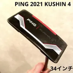 2026年最新】pingパターkushin4の人気アイテム - メルカリ