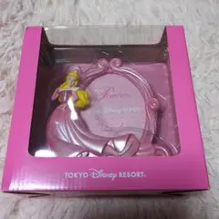 東京ディズニーリゾート プリンセス・オーロラ 　フォトフレーム